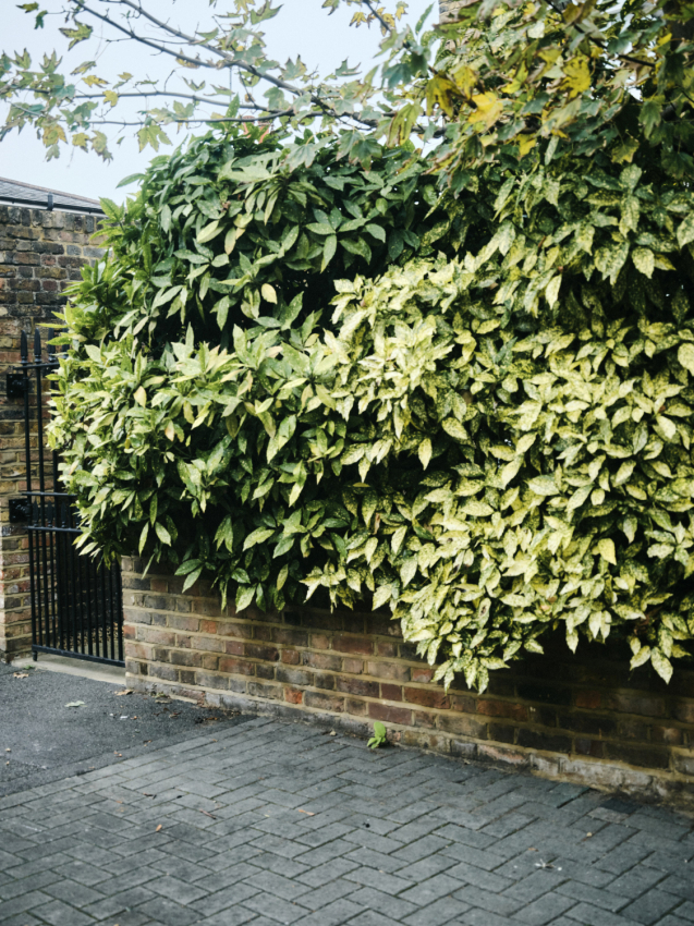 SHEA HURLEY - PORTFOLIO - EDITORIAL